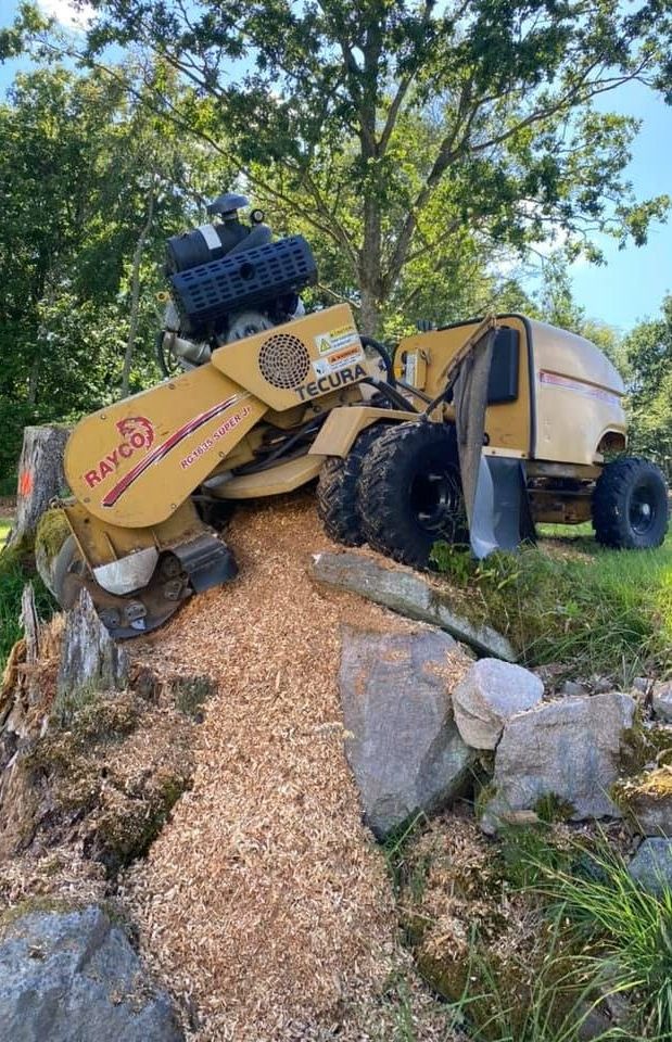 Din lokala Invändig målning i Kronoberg